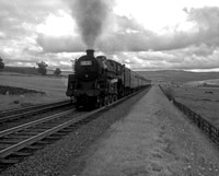 73xxx 1960s Shap-ROneg-134